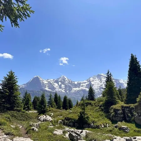 Niesenblick By Interhome Apartamento