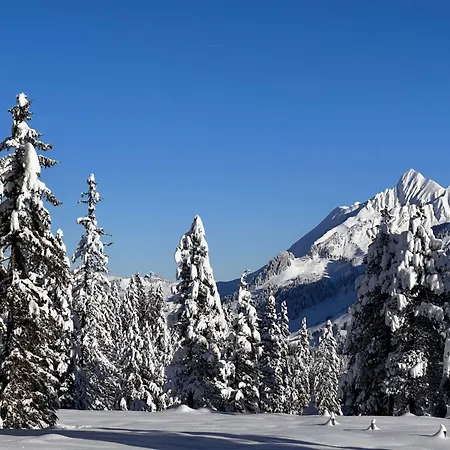 Niesenblick By Interhome شقة *