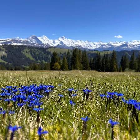 Niesenblick By Interhome هابكرن