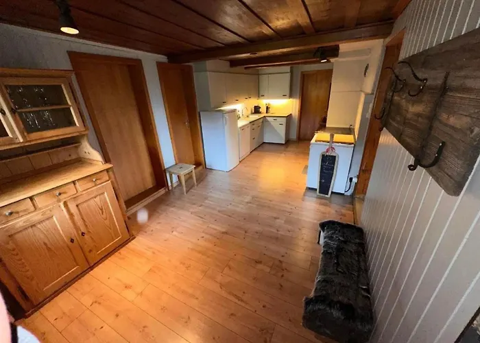 Niesenblick By Interhome * Habkern