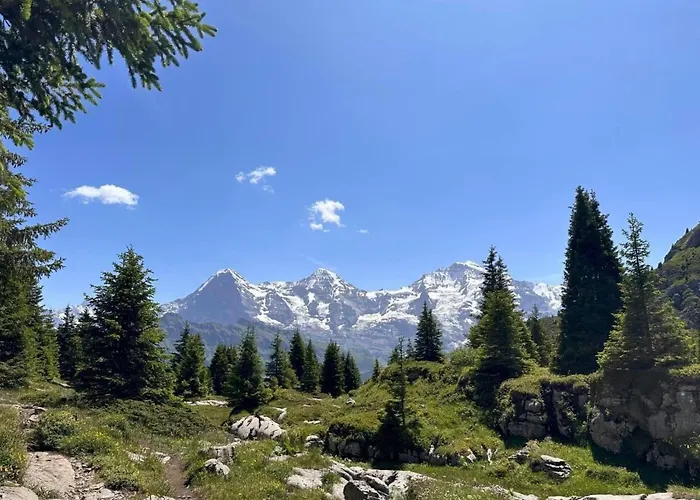 Niesenblick By Interhome Appartement