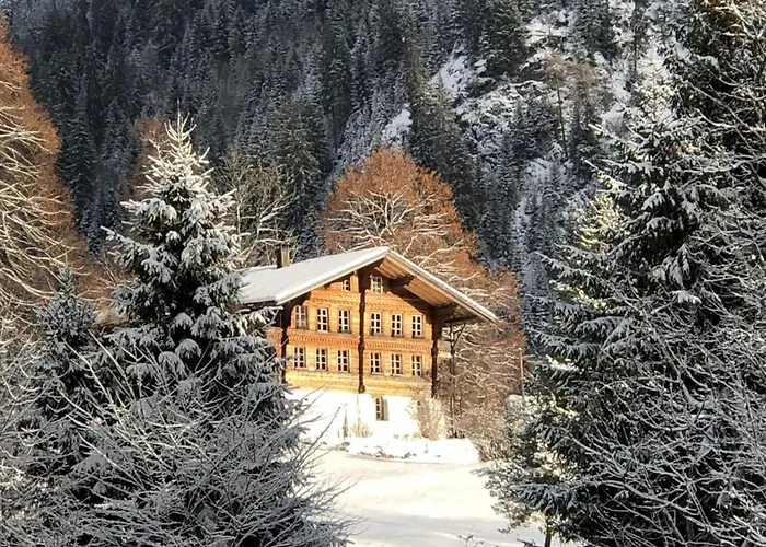 Lejlighed Niesenblick By Interhome Habkern