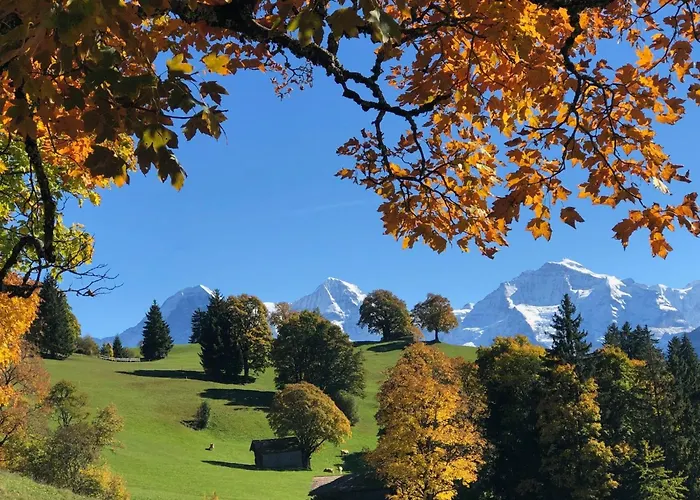 Apartamento Niesenblick By Interhome Habkern