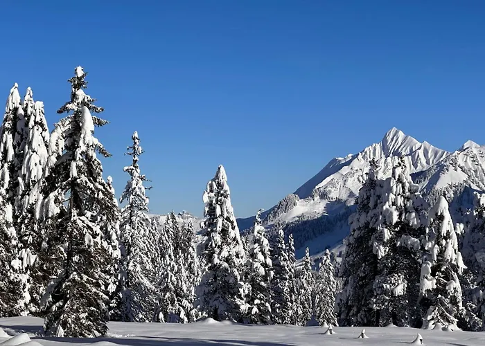 Niesenblick By Interhome Lejlighed *