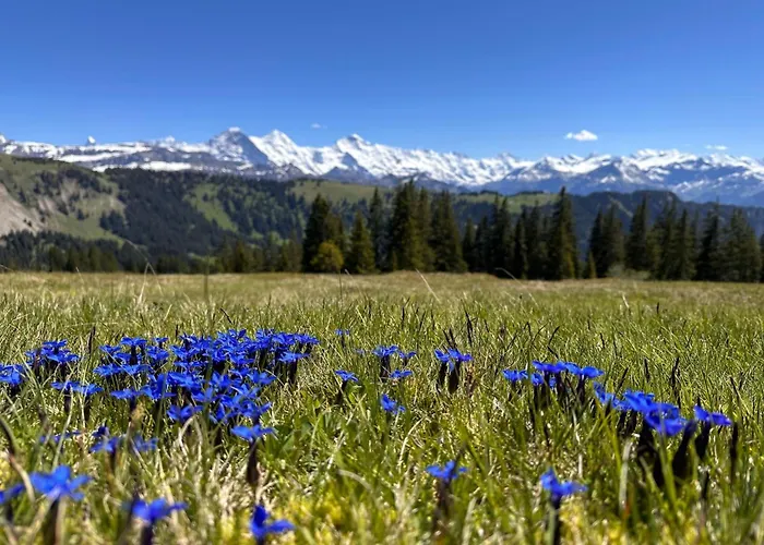 Niesenblick By Interhome Habkern