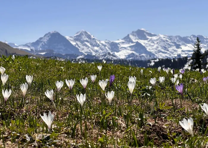 Niesenblick By Interhome